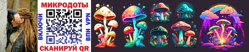 магазин продажи наркотиков  Шахты  Псилоцибиновые грибы Psilocybe 
